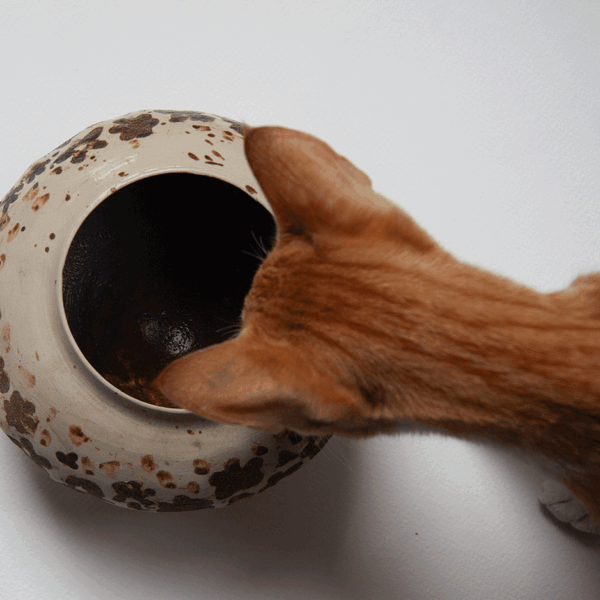 Oval vase. Nº_050 - Image 3